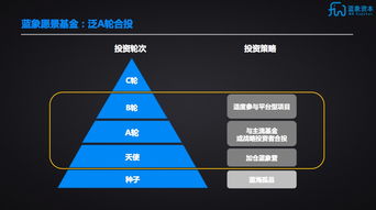 蓝象资本联合芥末堆成立蓝象愿景基金，聚焦A轮实业投资