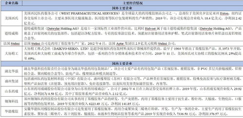 2021年药用胶塞项目投资分析报告 实业投资视角下的机遇与风险评估