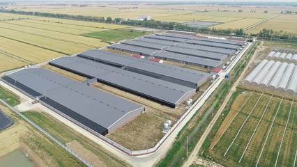 江苏农业农村重大项目投资规模创新高，近千项目总投资超2200亿元